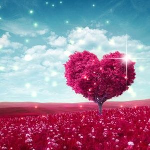 Endlessly in Love Hand Poured Soy (6.5 oz) Candle